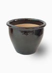 1.0 - 1.2m overall height / Black Rolled Rim Pot