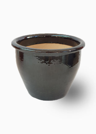 https://i0.wp.com/www.greensouq.ae/wp-content/uploads/2024/10/Black-Rolled-Rim-Pot.jpg