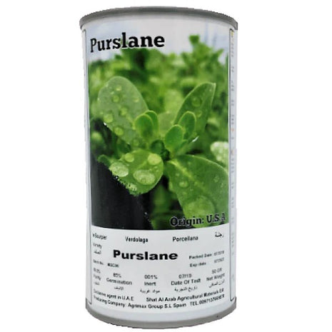 Agrimax Coriander Seeds Tin