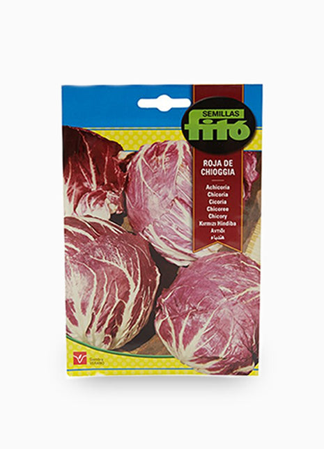 Achicoria Roja de Chioggia Seeds &#8211; Fito