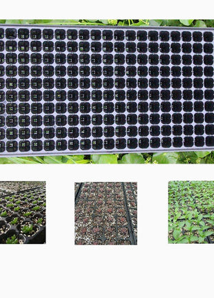 Plastic Seeds Tray