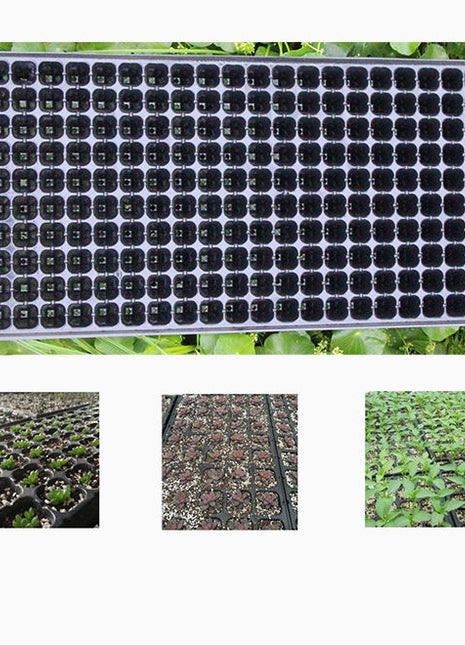 Plastic Seeds Tray