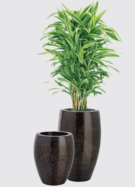 Classic Sparkle Pot