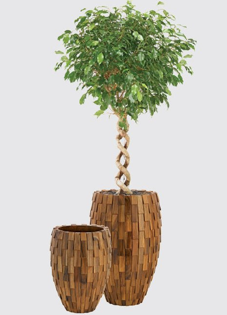 Classic Woody Pot
