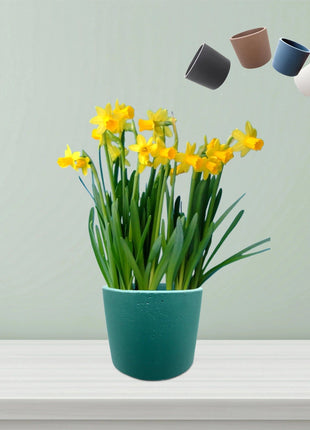 Round Tulip Pot