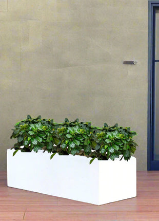 Gardenia Trio in Rectangular Fiber Glass Planter (GRP) (90x30x30cm)