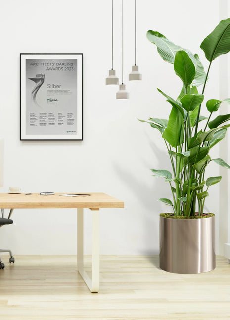 https://www.greensouq.ae/wp-content/uploads/2025/01/strelitzia-in-cylinder-pot-office-plant.jpg