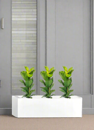 https://i0.wp.com/www.greensouq.ae/wp-content/uploads/2024/10/whiteplanter.jpg?fit=1024%2C1024&ssl=1